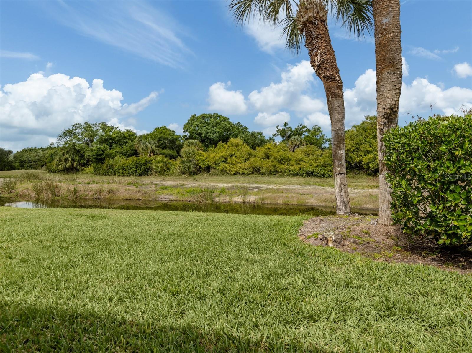 GRASSY OAKS - Residential
