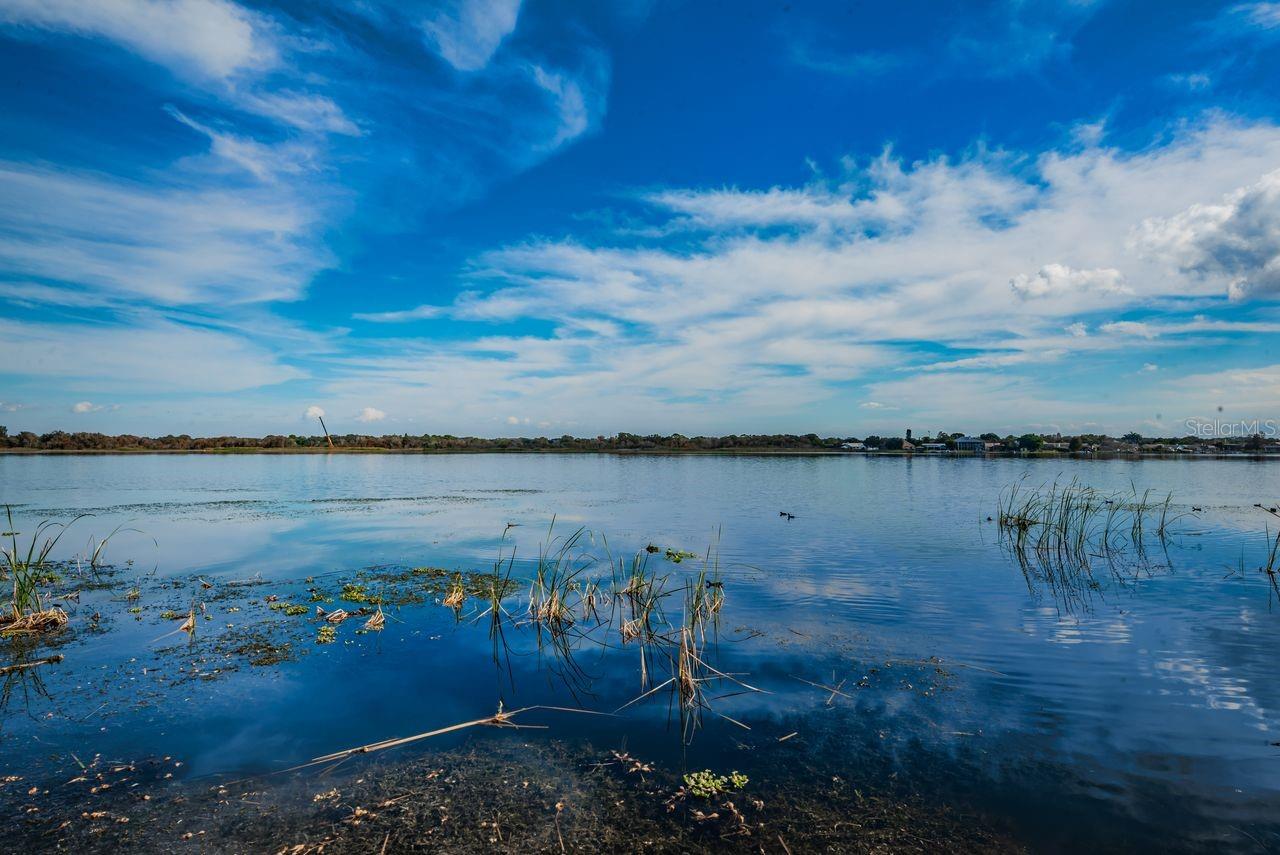 BELLA VISTA ON LAKE - Residential