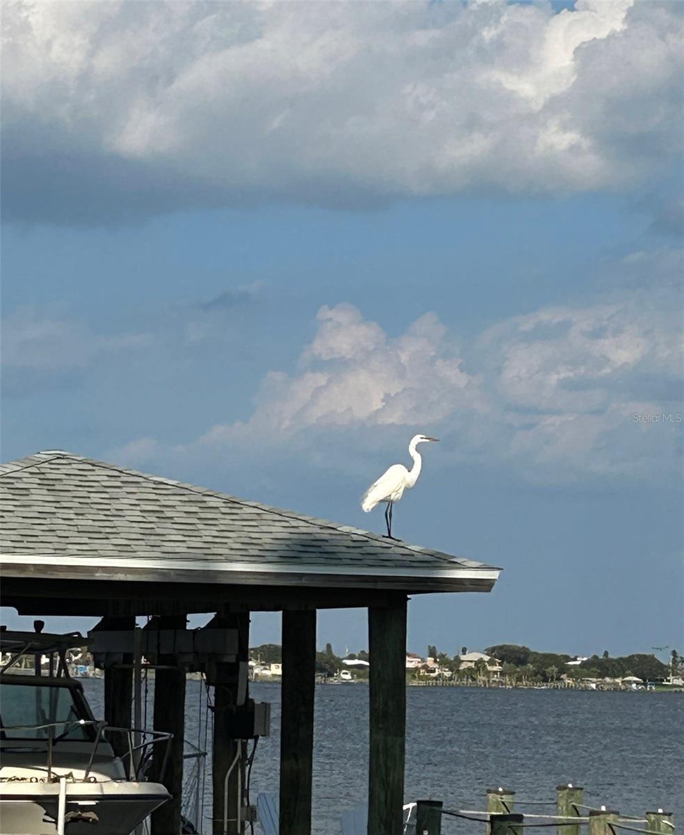 PALM HARBOR ESTATES - Residential