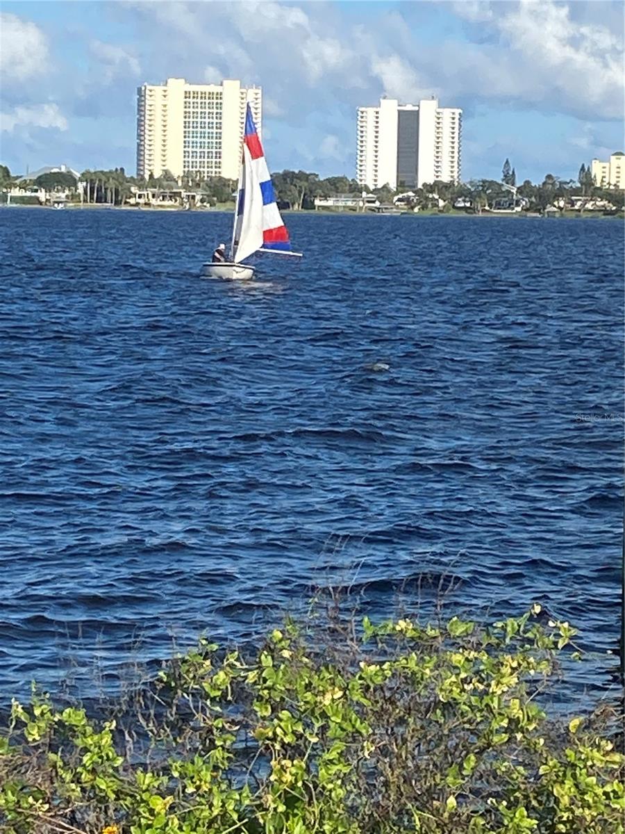 PALM HARBOR ESTATES - Residential