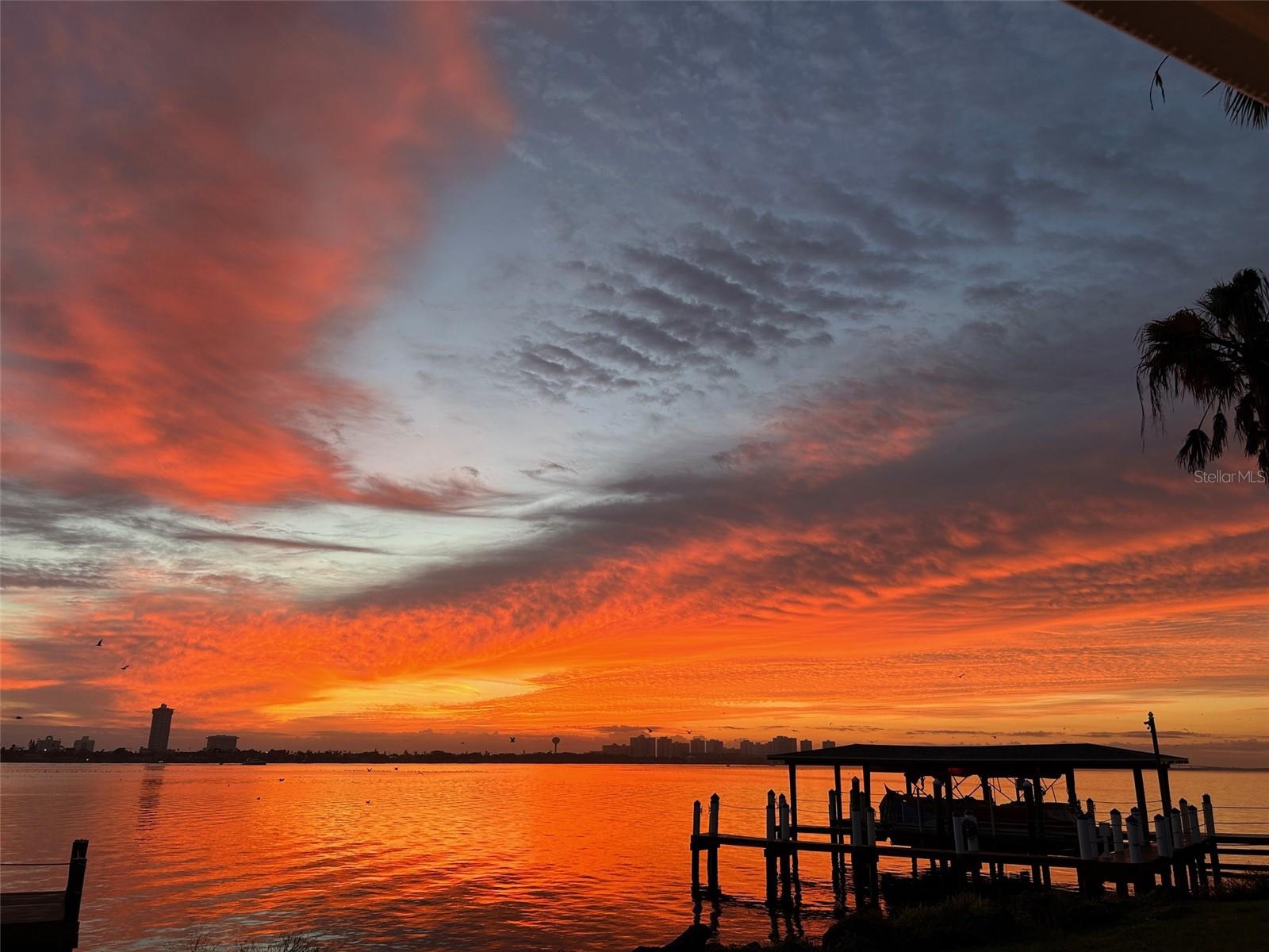 PALM HARBOR ESTATES - Residential