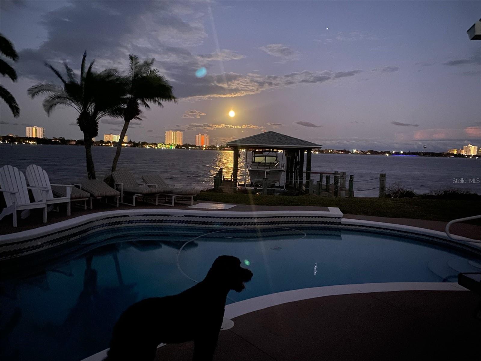 PALM HARBOR ESTATES - Residential