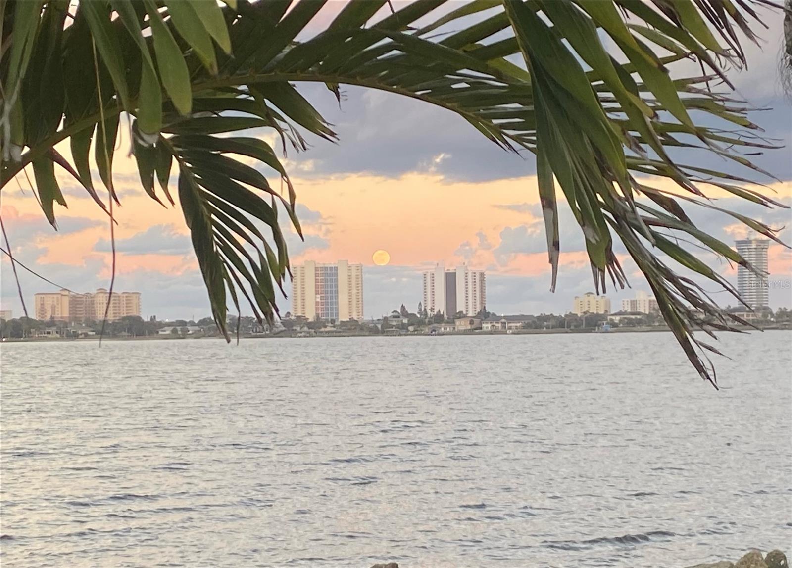 PALM HARBOR ESTATES - Residential