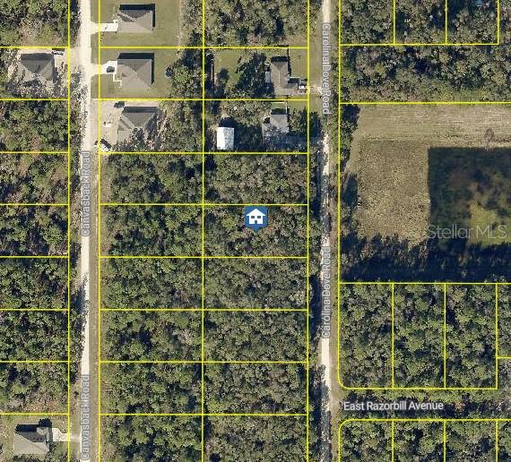 Build your dream home in beautiful Weeki Wachee! This spacious residential lot on Carolina Dove Rd is located in the desirable Royal Highlands area, known for its peaceful setting and natural Florida charm. Enjoy the privacy of larger lots with plenty of room for your custom home, pool, or outdoor living space. Conveniently situated near shopping, dining, and the famous Weeki Wachee Springs, yet far enough to enjoy tranquility and nature. No HOA or CDD fees — just the freedom to create your ideal lifestyle on Florida’s Nature Coast!