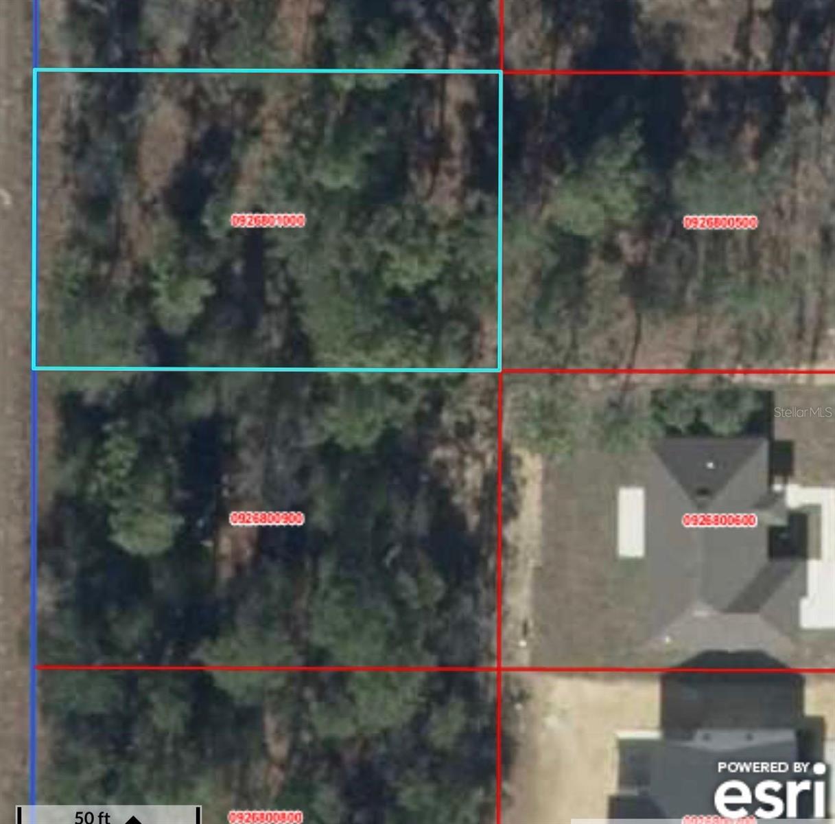 WILLISTON HYLNDS GOLF & C CLUB ESTATE - Land