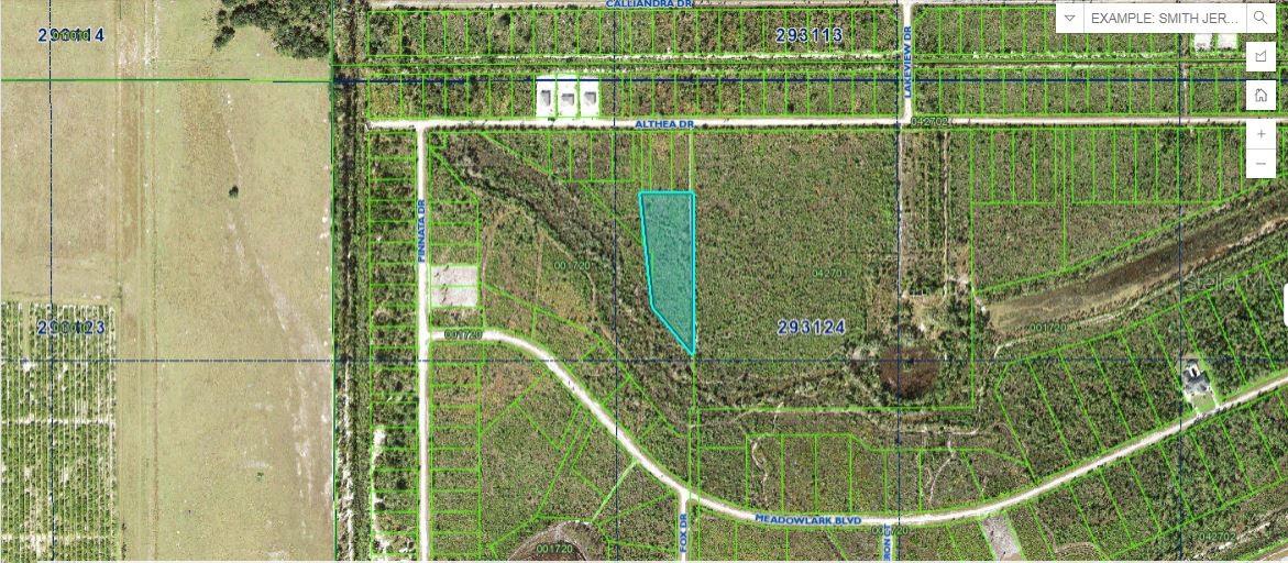 This 3.40-acre vacant lot on Althea Drive, Florida, offers a rare opportunity to build your dream spot on an expansive and private property. Enjoy a peaceful, natural setting with more than enough space for outdoor living, additional structures, or future plans—all within a community featuring amenities like a golf course, marina, and Lake Walk-in-Water. A truly exceptional piece of Florida land! Pin Location: Latitude 27.77528866 , Longitude-81.37802536. Note: buyers I emphasize the importance of conducting thorough due diligence to ensure that the property meets your expectations and requirements.
