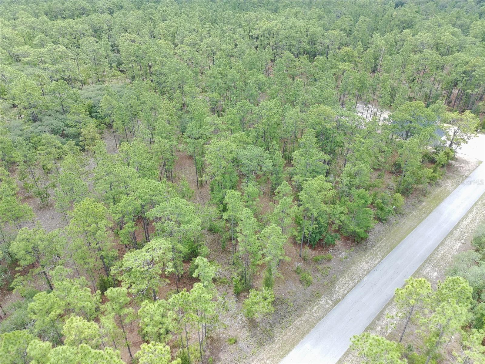 RAINBOW LAKES ESTATE - Land