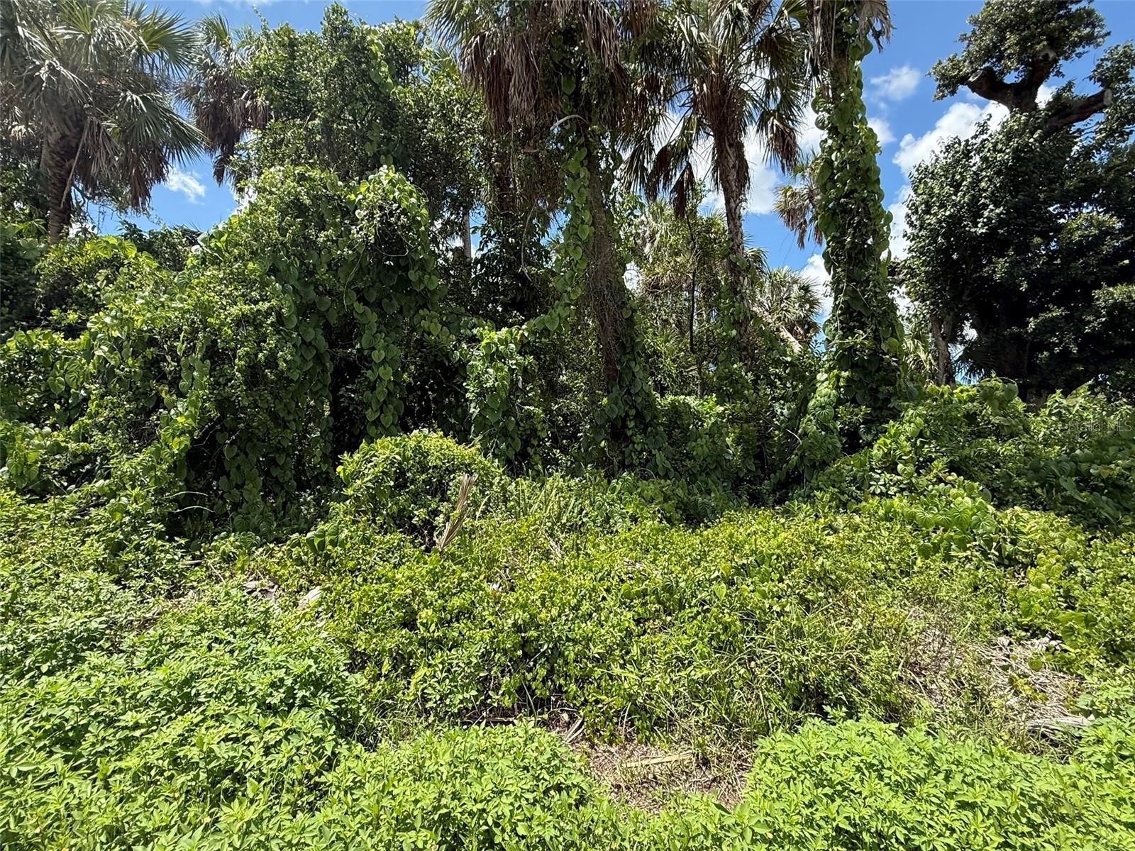 PORT CHARLOTTE SEC 030 - Land