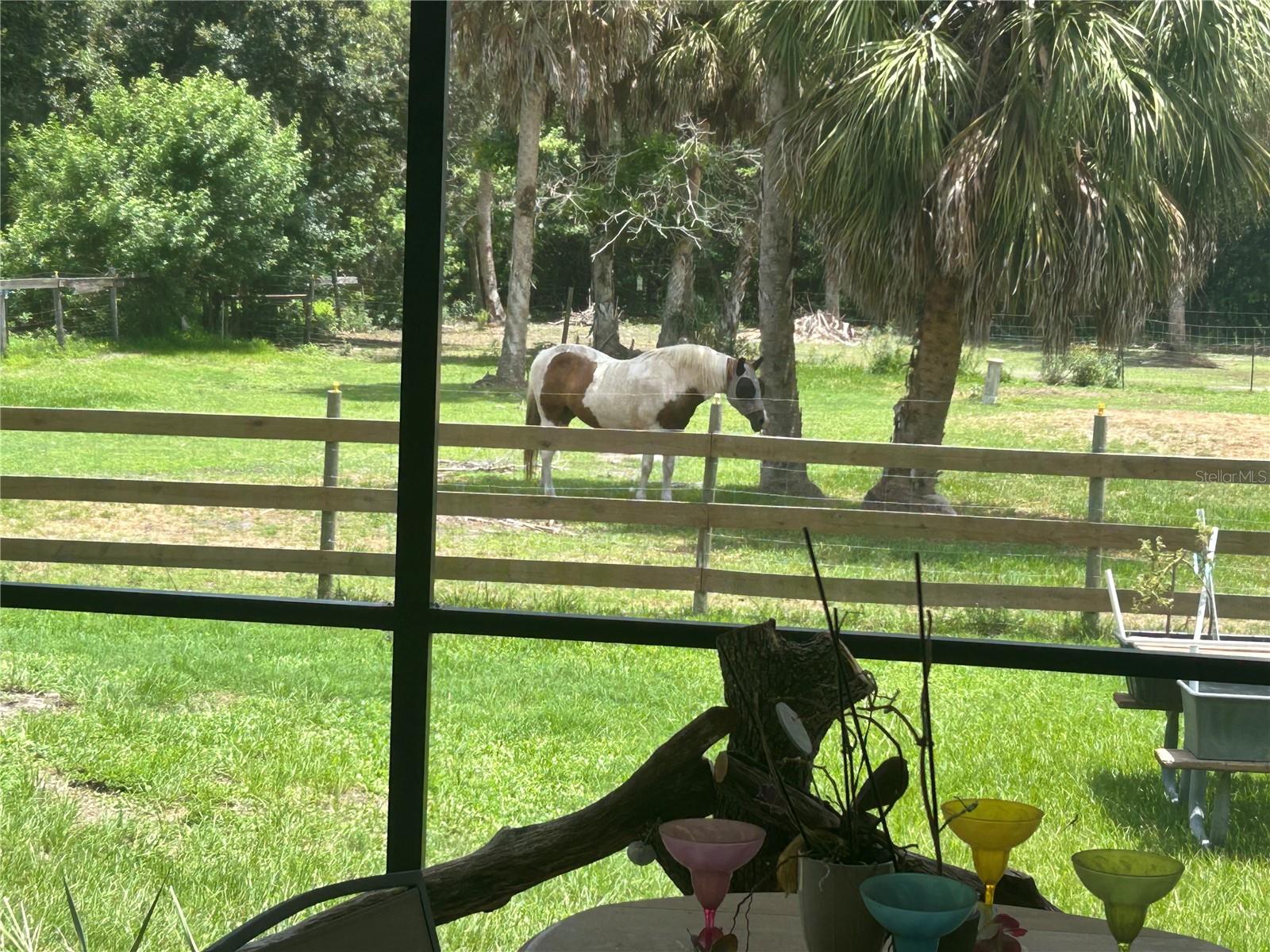 PONY TRAILS - Residential