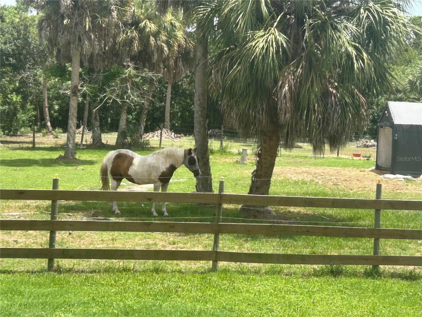 PONY TRAILS - Residential
