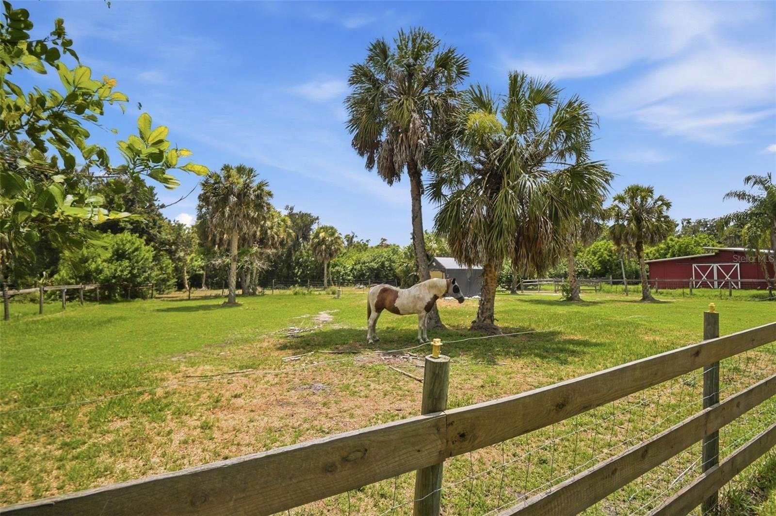PONY TRAILS - Residential