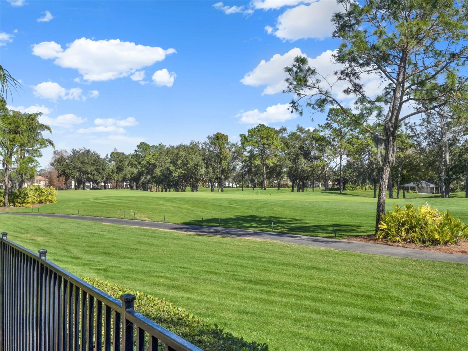 LAKE NONA ESTATES - Residential