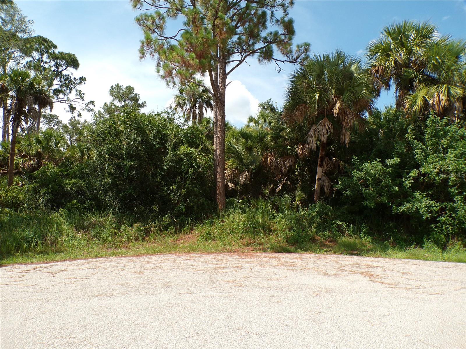 PORT CHARLOTTE SUB 49 - Land