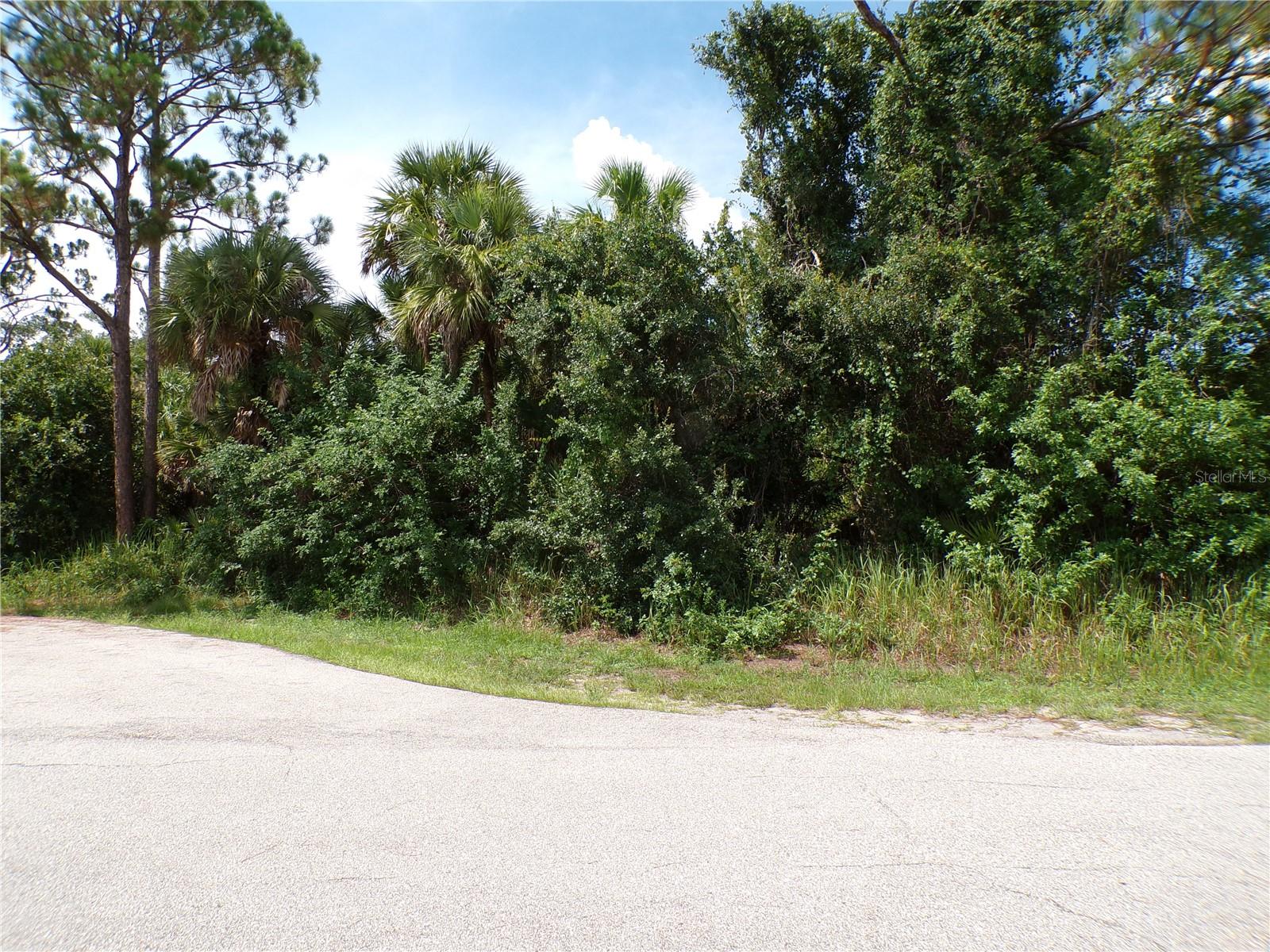 This lot is on a quiet street, that would be a great place to build your dream home and retire or raise your family. Less than 5 miles to I75 makes this location an easy commute to almost anywhere, and only 25 miles to Venice Pier and Beach with amazing sunsets, 8 miles to Cocoplum Village Shops with lots of shopping and dining options. Atlanta Braves spring training and the fairgrounds are just minutes away, also multiple golf courses and some of the best boating and fishing in all of Florida. Red Soxs, Orioles, Twins and Rays spring training all within an hour’s drive. Buyer and buyers’ reps are responsible for determining environmental conditions and endangered species restrictions. This lot is priced to sell so please call for availability! This lot is at a great price point for the investor call today.