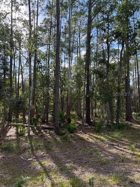 Beautiful one-acre parcel lot to build your dream home! Professional mulched under brush work done for a clear view. Surrounded by nature, this property offers plenty of space for your new home, garden, or even a workshop or RV. The lot provides a quiet rural country setting. Whether you're looking for a weekend retreat or a permanent homesite, this property gives you the freedom and space to create your ideal lifestyle. Its a boaters dream being so close to Lake George, St Johns river, and several springs! No HOA and plenty of room to make it your own!