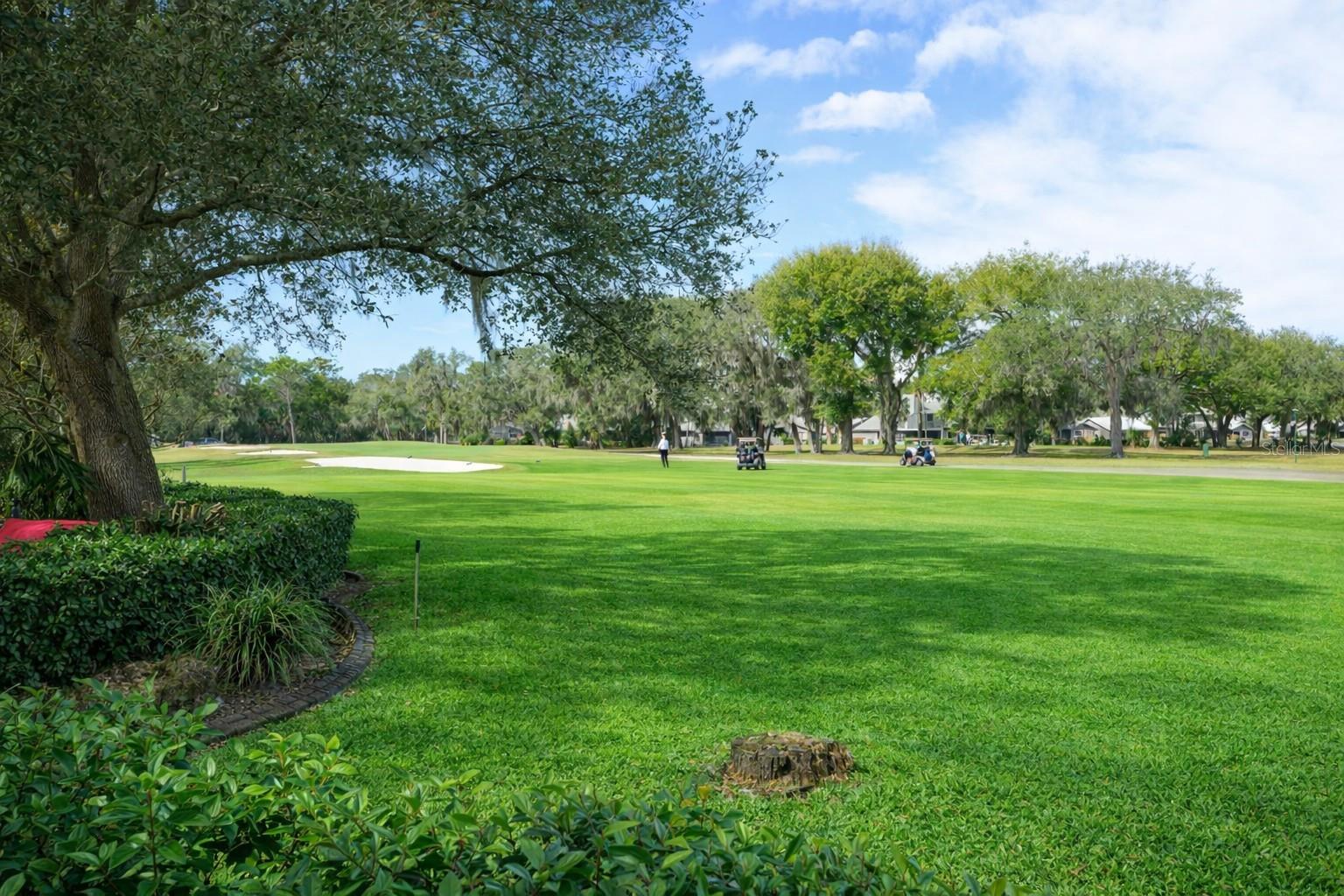 SPRUCE CREEK FLY IN - Residential