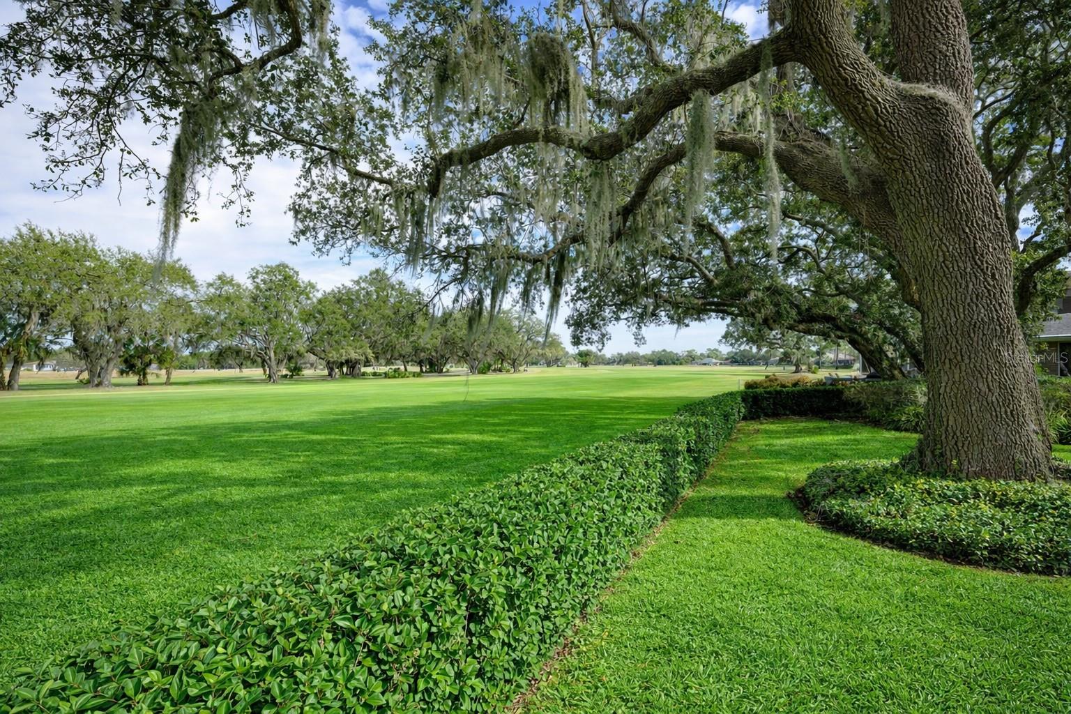 SPRUCE CREEK FLY IN - Residential
