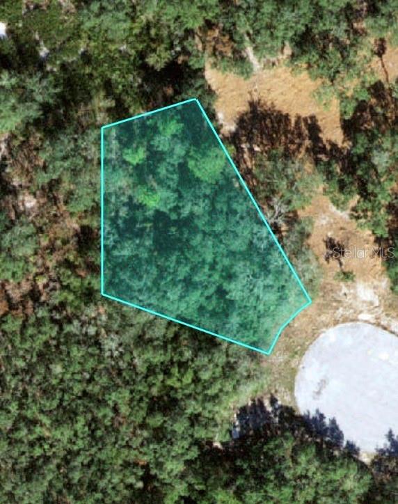 Vacant land available in Polk County AS-IS. Buyer is responsible for all due diligence. Seller is not aware of any issue , restrictions or liability related to property. Cul-de-sac.
Located near Bellini Preserve Lake Marion and Poinciana Community Park.