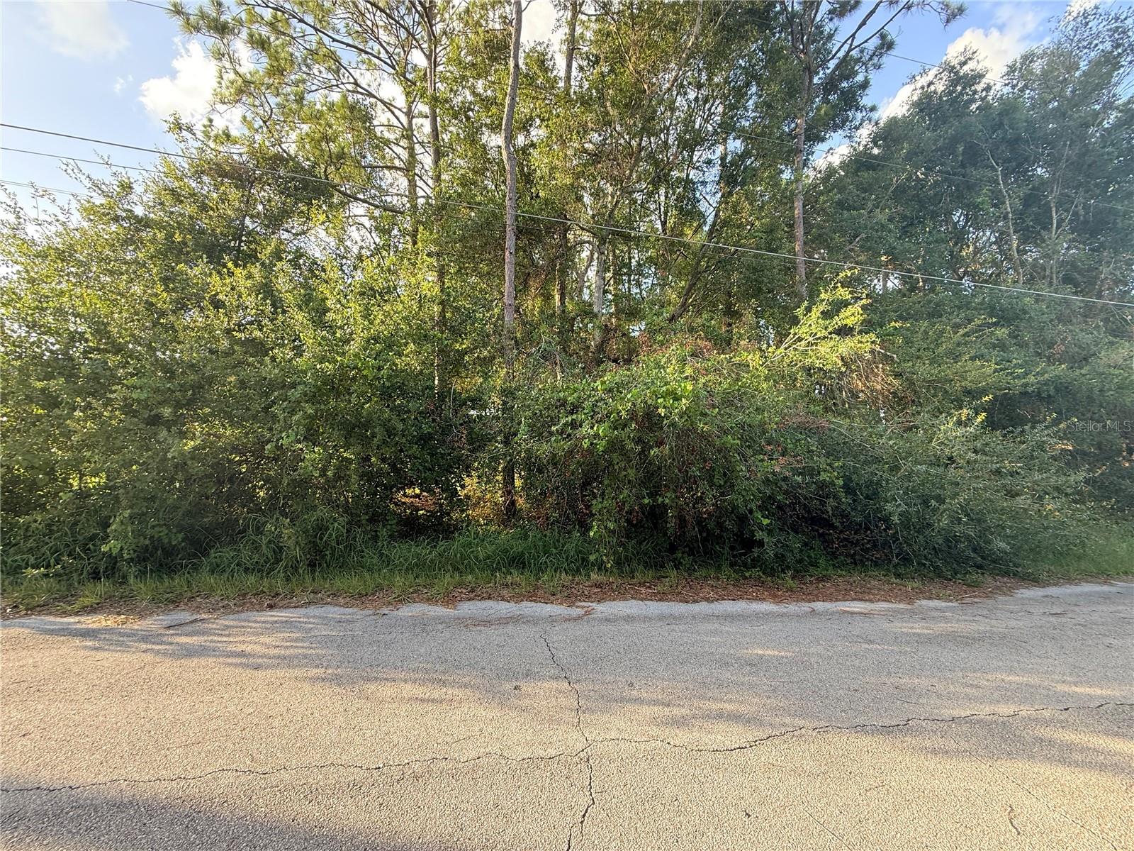 WHITTED - Land