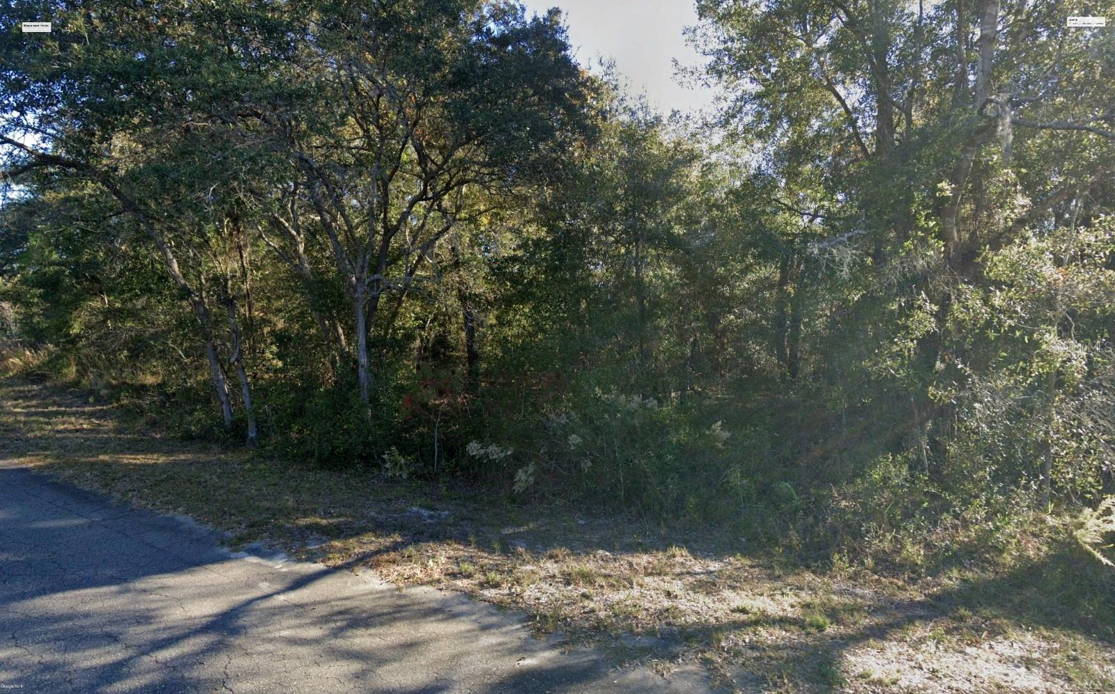SILVER SPRINGS SHORES EAST - Land