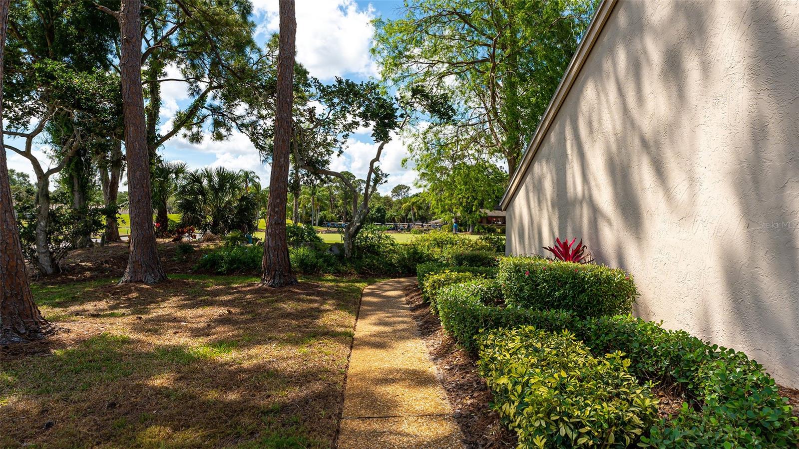 MEADOWS CC VILLAS - Residential