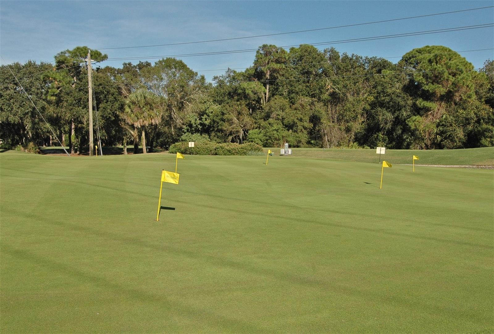 MEADOWS CC VILLAS - Residential