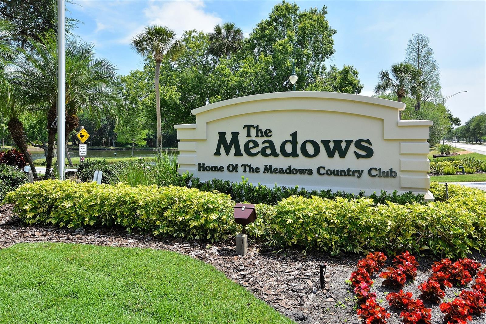 MEADOWS CC VILLAS - Residential