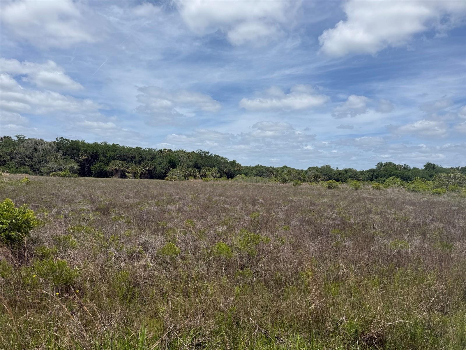 Discover your slice of country living with this 1.25-acre vacant lot located in Okeechobee. Nestled in a quiet, rural setting, this property offers the perfect opportunity to create your own private getaway. Zoned for residential/agricultural use, allowing for flexibility including animals and outdoor living. No HOA and plenty of space to enjoy peace, privacy, and wide-open skies. Conveniently located just off main access roads while still offering a secluded feel. Buyer to perform their own due diligence regarding zoning, land use, and utilities.