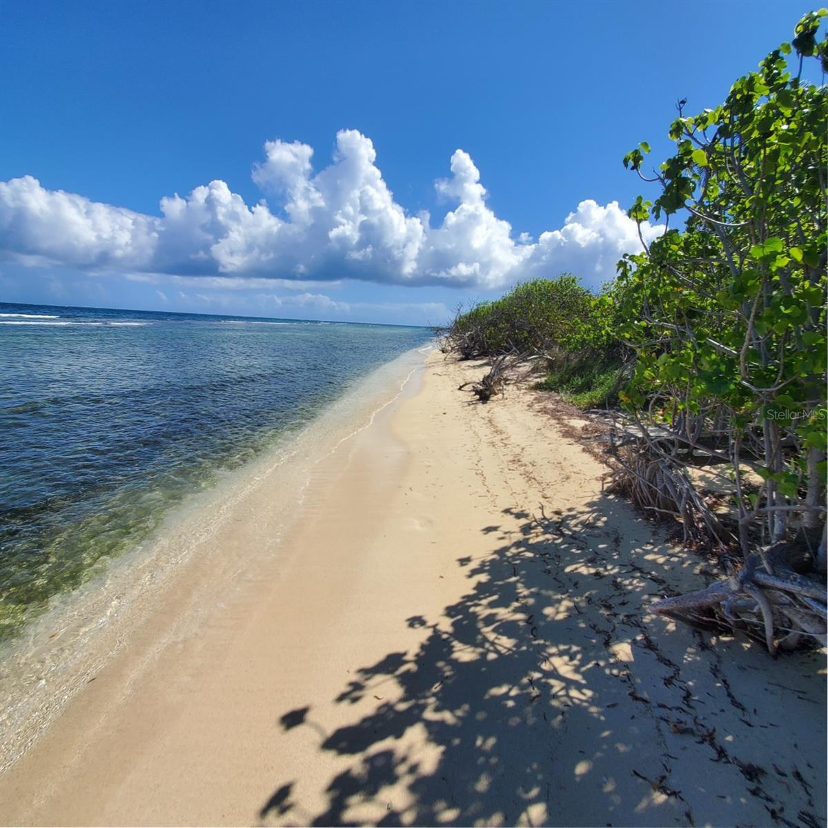 This untouched property is ecologically spectacular and one of the last remaining swaths of tropical beauty to be found anywhere in the world.

This property is in the Fraile area on the east side of the beautiful island of Culebra, Puerto Rico, one of the Spanish Virgin Islands. The lot boasts an expansive ecosystem with cliffs, a pond, boulders, wild life, and mature forest. The property borders the maritime zone, a sandy beach, and a healthy coral reed.

This absolutely wonderful 26 acre property has spectacular views of the Island of Culebrita, the Island of St. Thomas of the United States Virgin Islands, Sail Rock, the Atlantic Ocean, and the Caribbean Sea. The lot has a quarter of a mile along the beach with varying terrain – gentle slopes, rolling hills, and “highlands.”