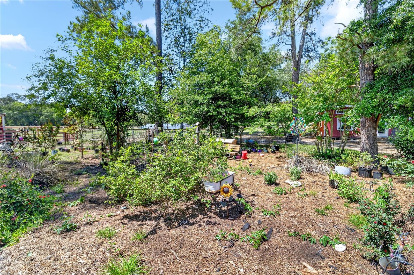ROOTERVILLE - Residential