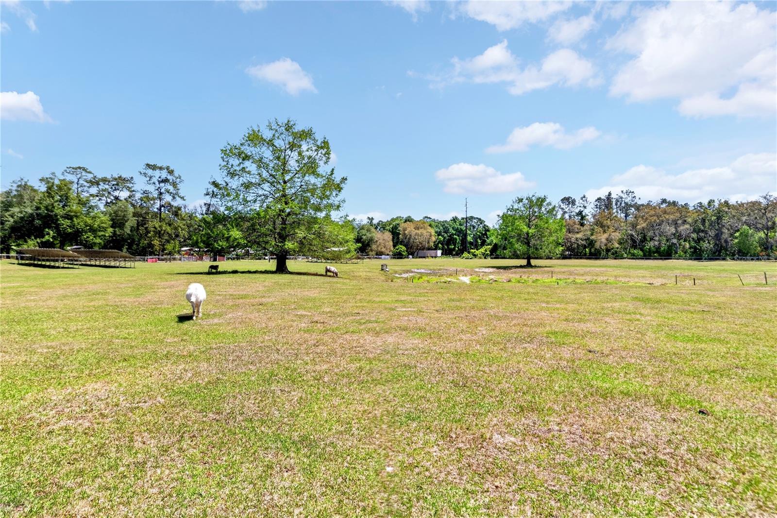 ROOTERVILLE - Residential