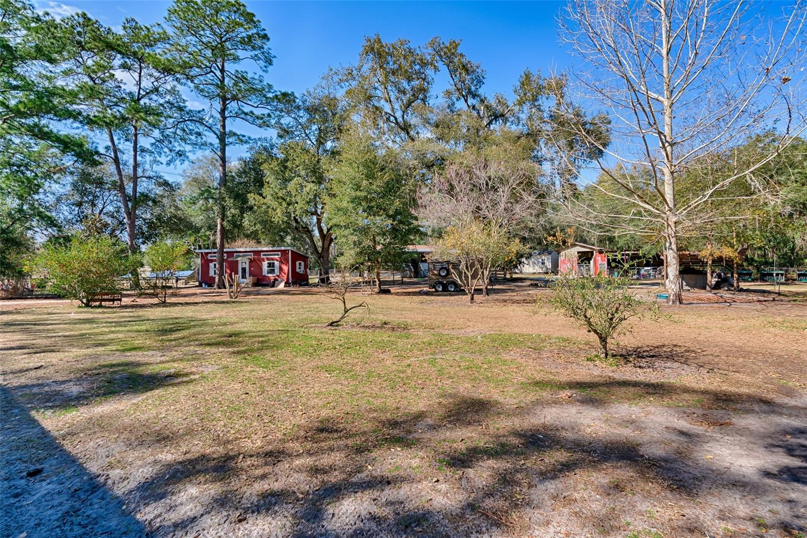 ROOTERVILLE - Residential