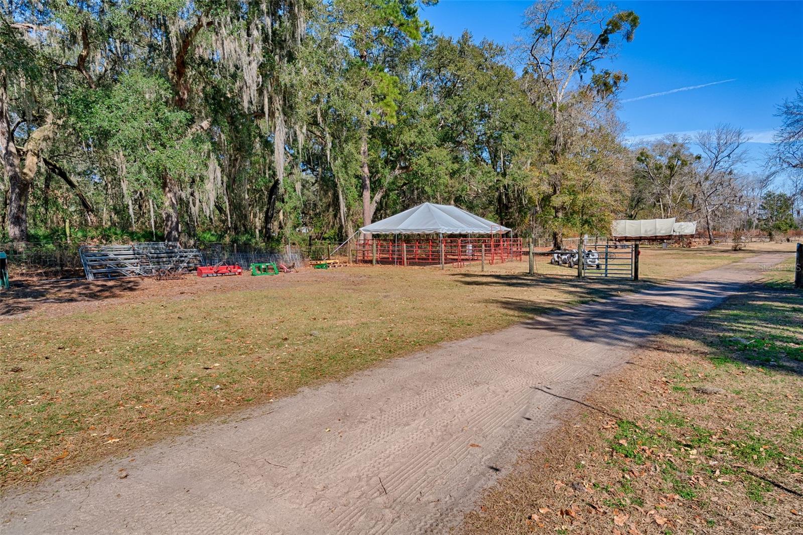 ROOTERVILLE - Residential
