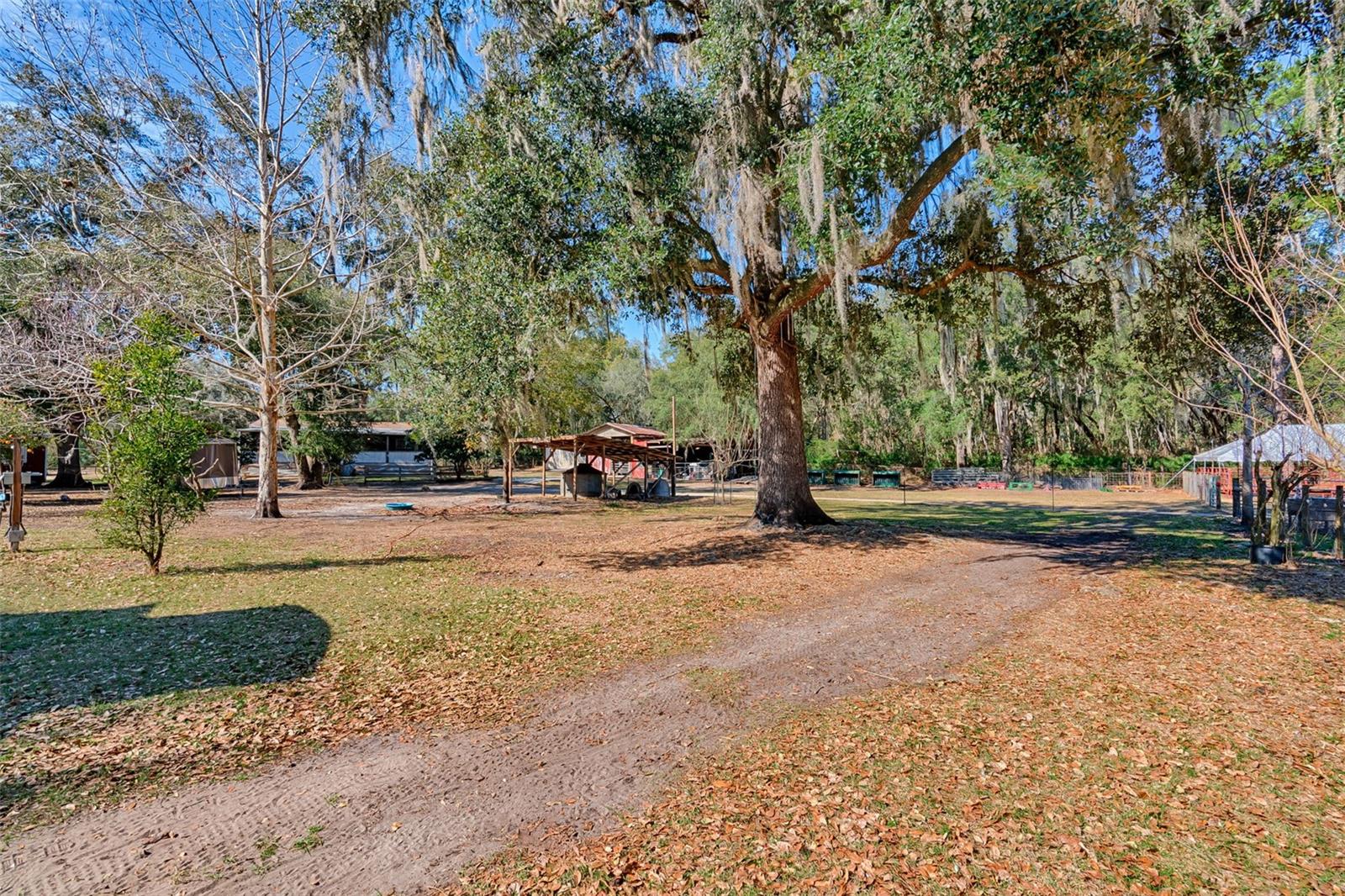 ROOTERVILLE - Residential