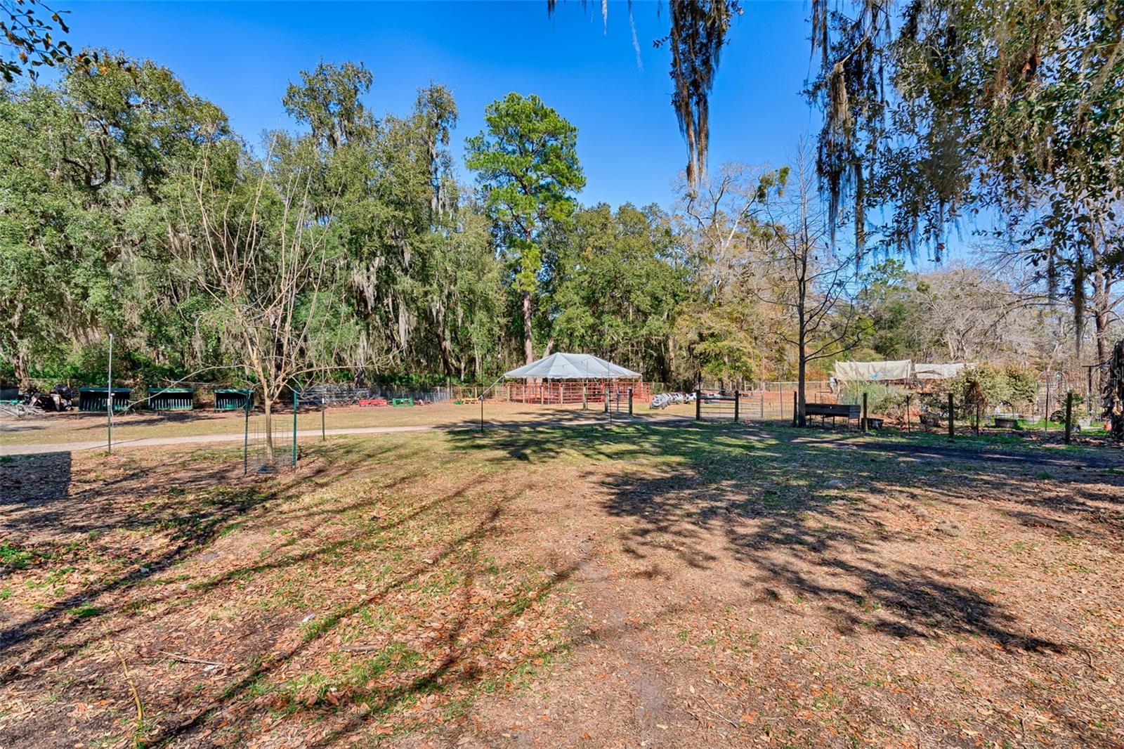 ROOTERVILLE - Residential