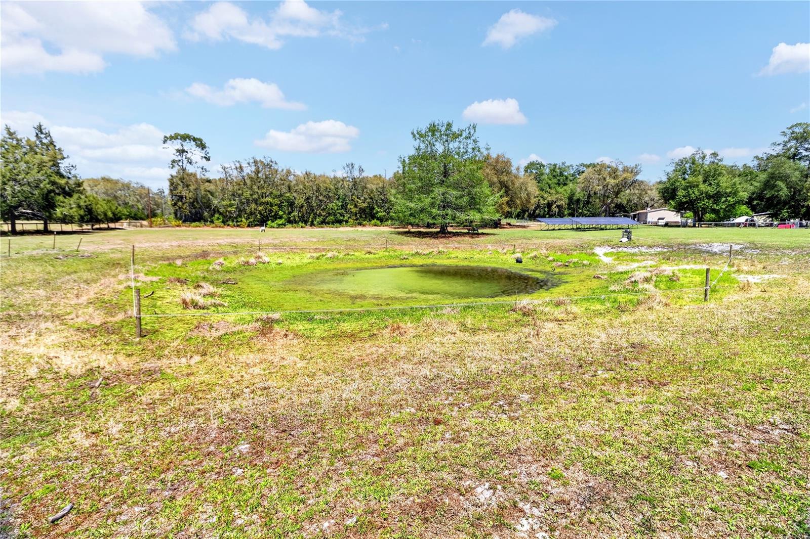 ROOTERVILLE - Residential