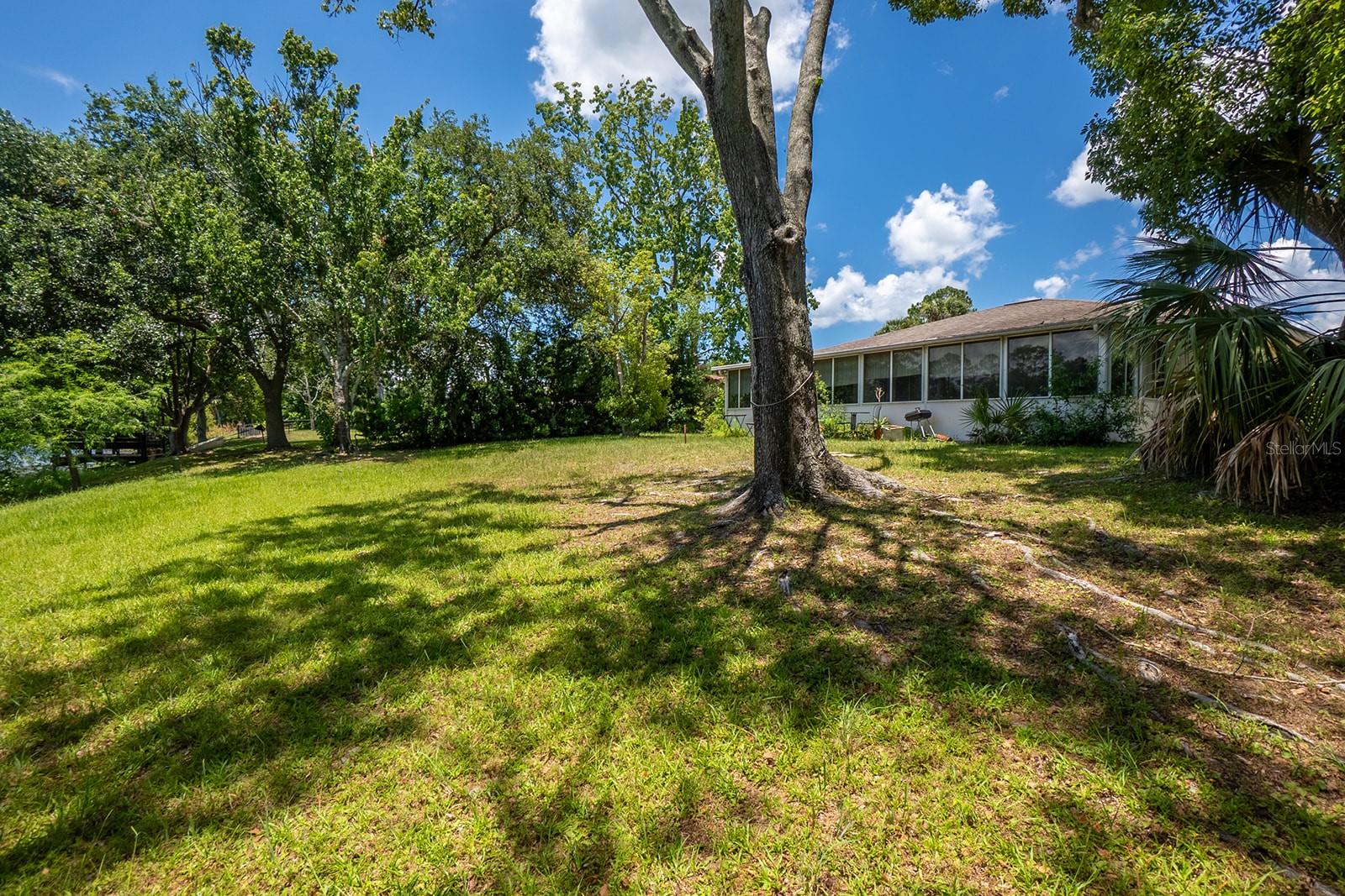PALM HARBOR - Residential