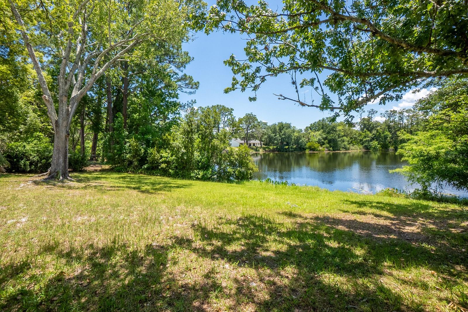PALM HARBOR - Residential