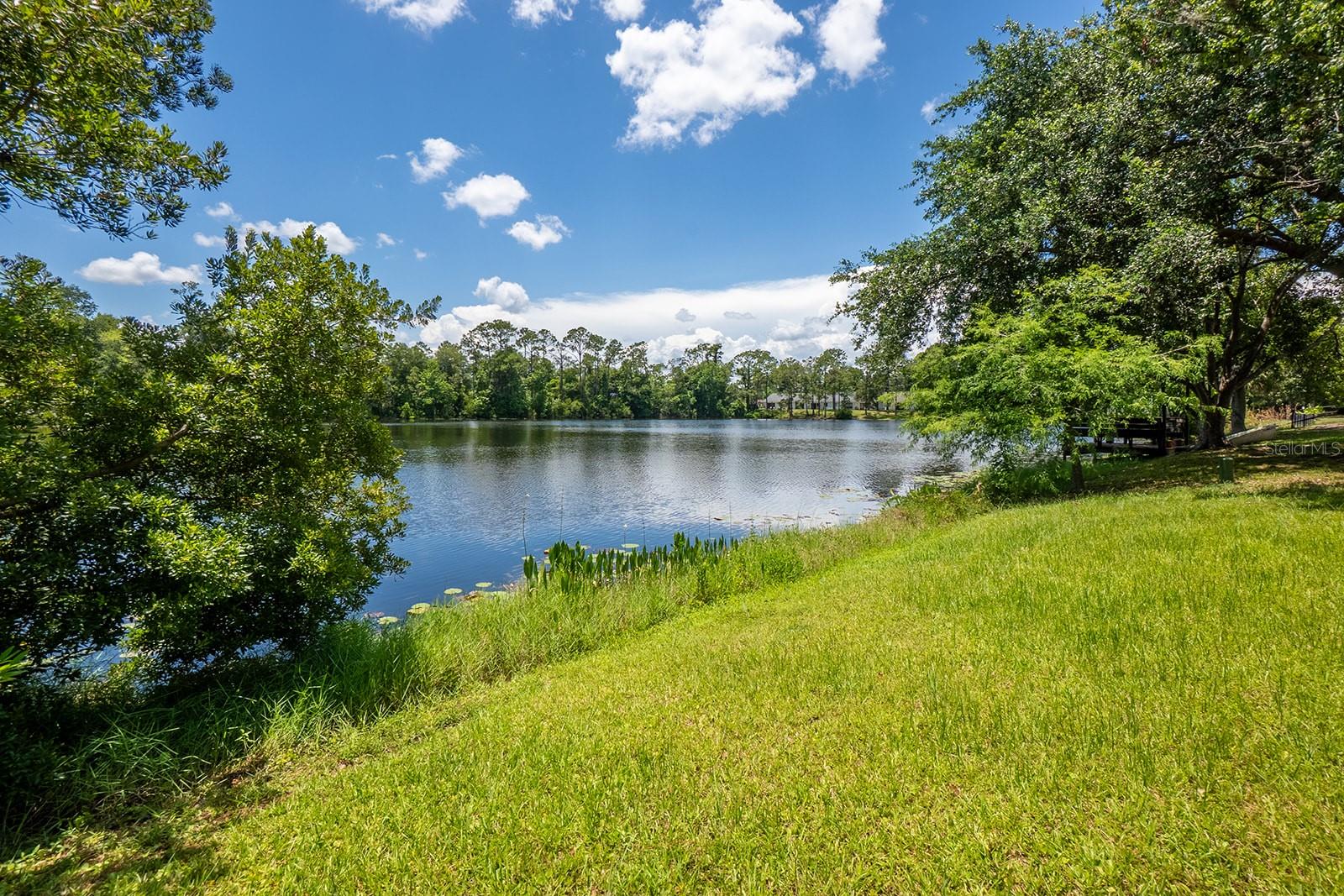 PALM HARBOR - Residential