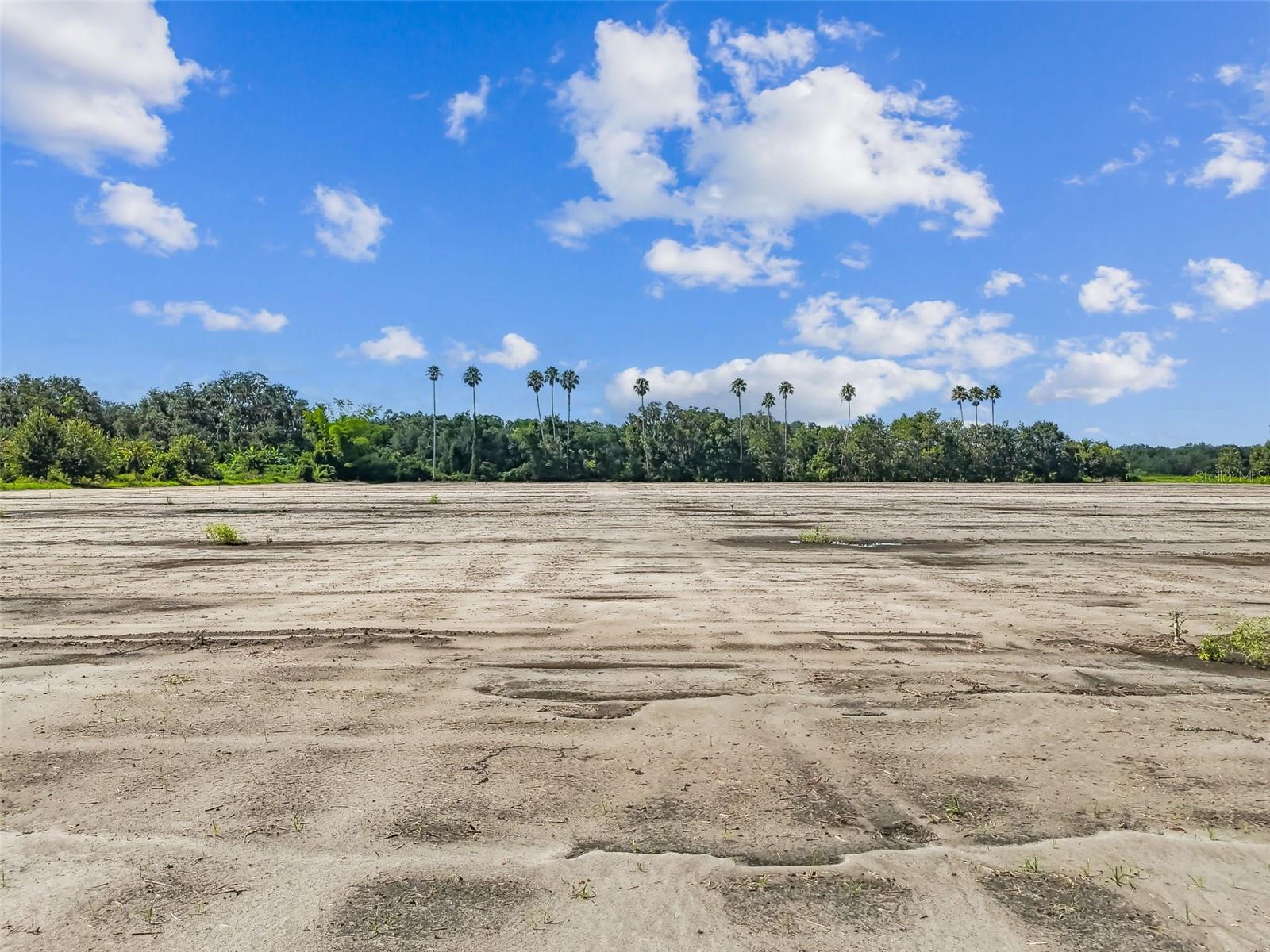 UNPLATTED - Land