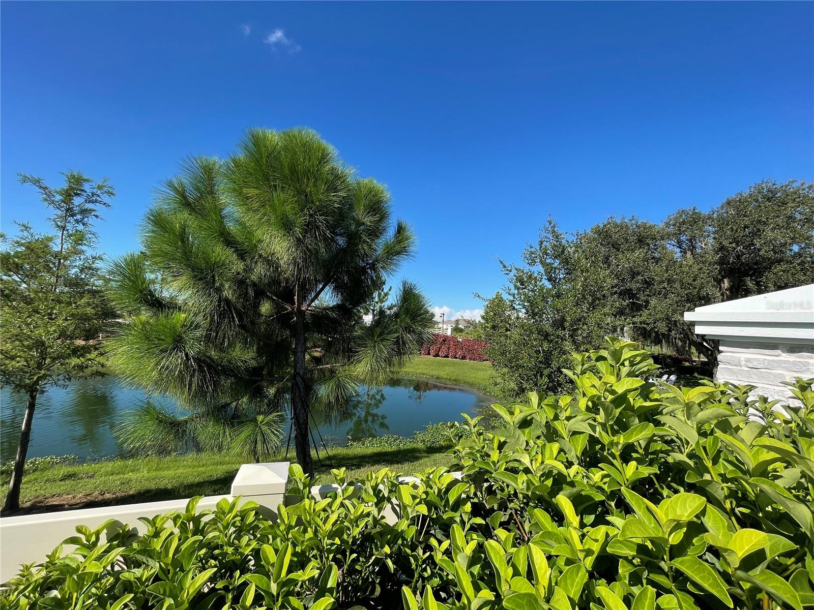 VARREA PH 1 - Residential Lease