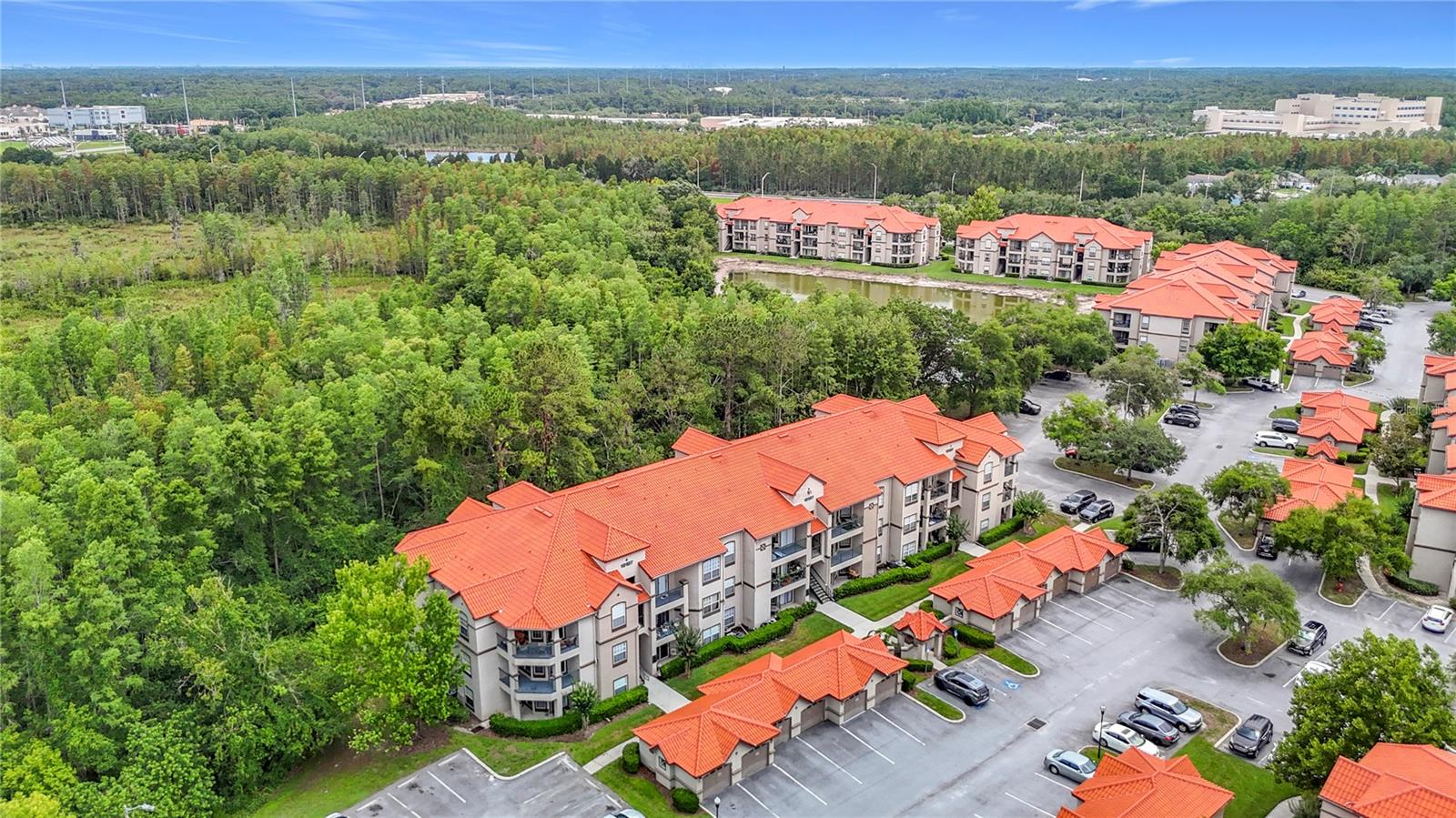 LAKEVIEW AT CALUSA TRACE - Residential