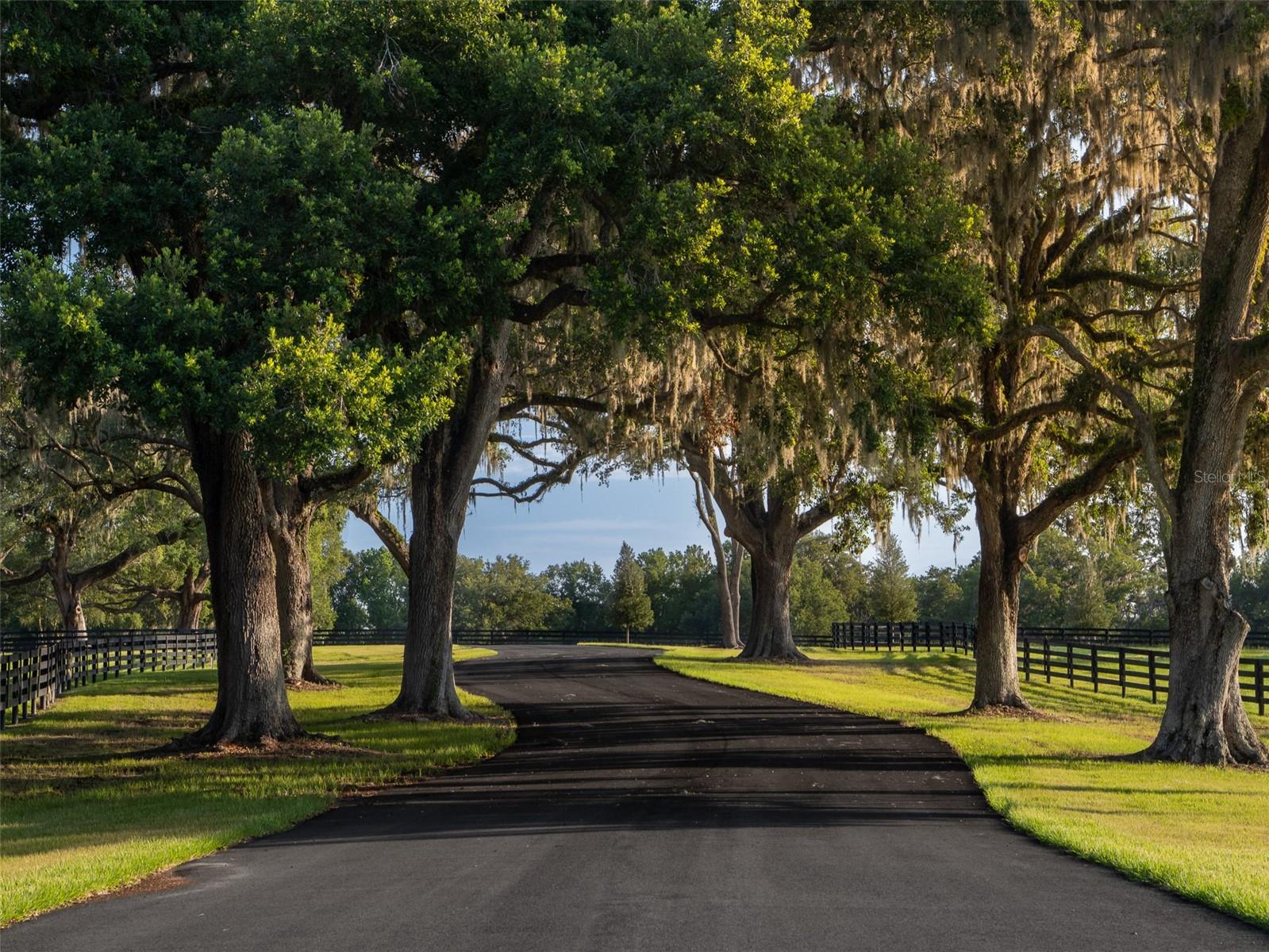 SILVER OAK - Land