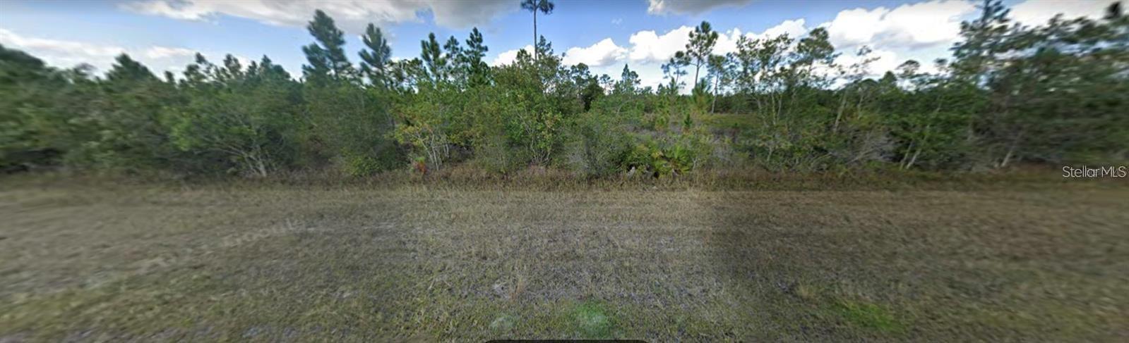 Ever dream of building your home away from the city where the noise is limited but close enough to the city for all your necessities? The time is now and you should look no further! You can use your own builder. This property is an easy to access with great location. Half acre rural lot, with affordable HOA. A restaurant, library, post office, police, and other amenities to come, This fast developing community offers a gorgeous view from Florida's longest freshwater pier. If you love to fish or just love peace and serenity don't miss your opportunity to own this land.