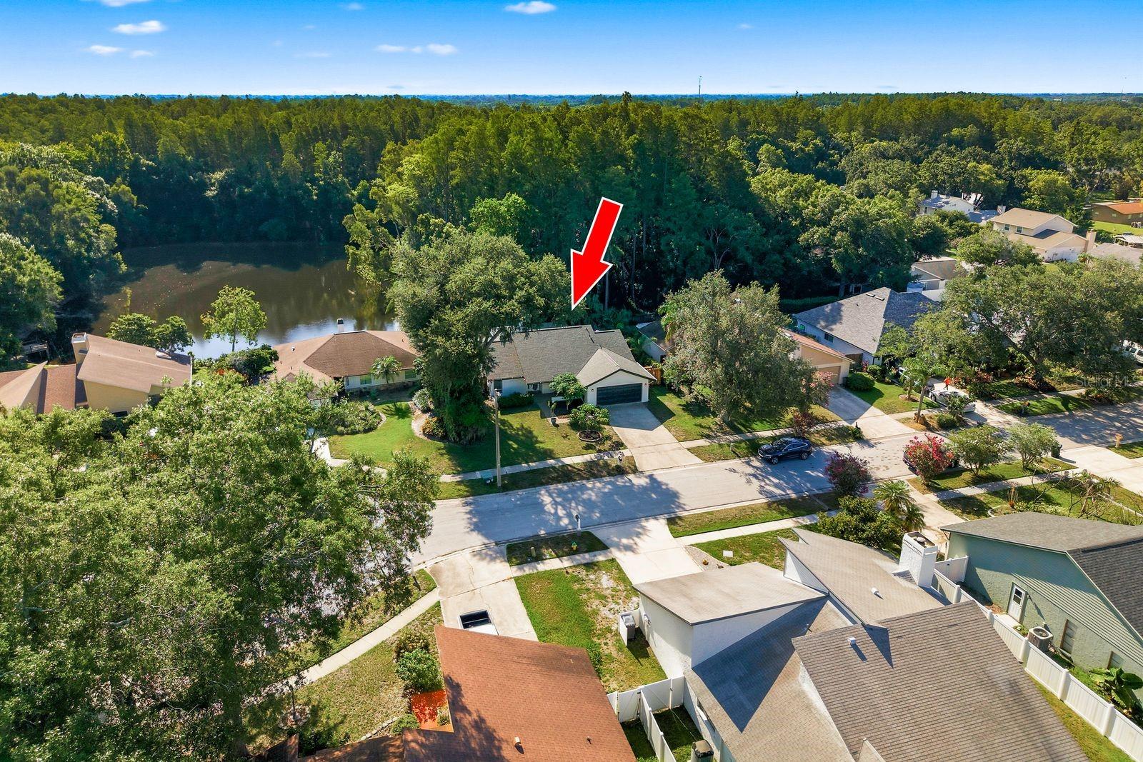 CARROLLWOOD SOUTH - Residential