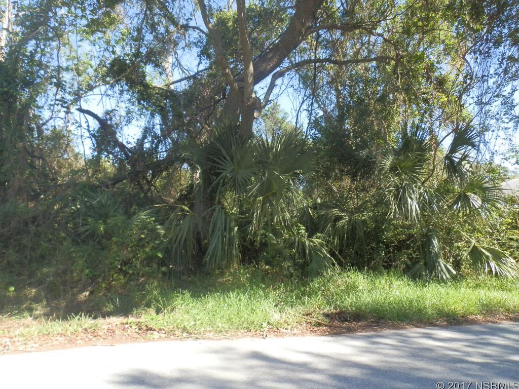 BUILD YOUR DREAM HOME ON THIS NEARLY 1/4 ACRE PARCEL IN A NEIGHBORHOOD OF SINGLE FAMILY HOMES. PARCEL IS SURROUNDED BY VERY NICE HOMES IN A QUIET NEIGHBORHOOD OF FLORIDA SHORES. WATER, SEWER & ELECTRIC ARE AVAILABLE.; Cleared: No ;Water: Available at Site