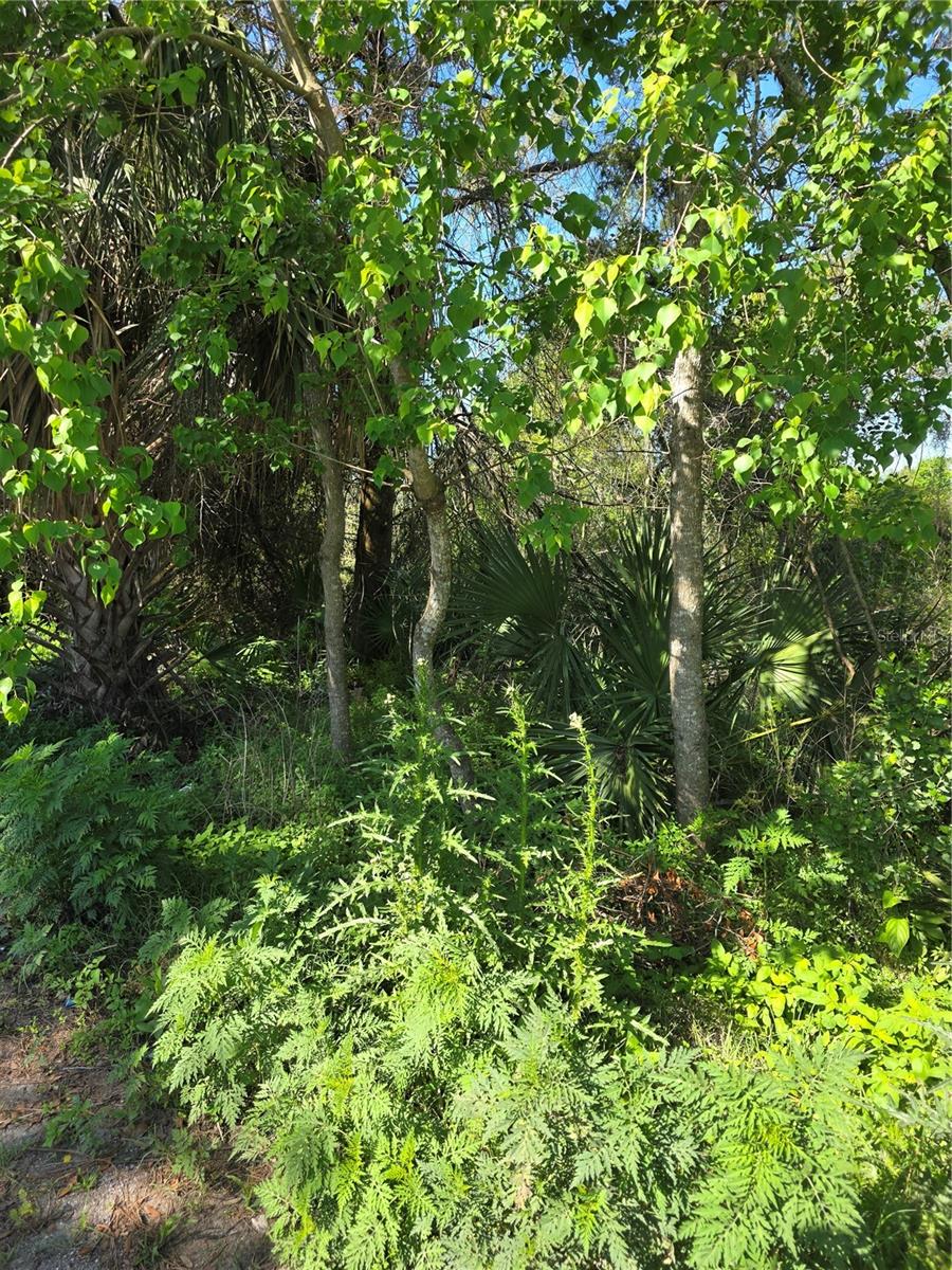 Build your dream home on this spacious vacant lot offering 10,425 square feet (0.2393 acres) with dimensions of approximately 75 x 139 feet. Zoned 01R4, this property provides flexibility for residential development in a well-established area. With ample space for a custom home, outdoor living, and more, this lot presents a great opportunity for homeowners or investors alike. Whether you’re looking to build now or hold for future development, this property offers both size and potential. Don’t miss your chance to secure a generously sized residential lot in a desirable location. Close to shopping, restaurants, 17/92, I4, Orlando attractions and Daytona beaches.