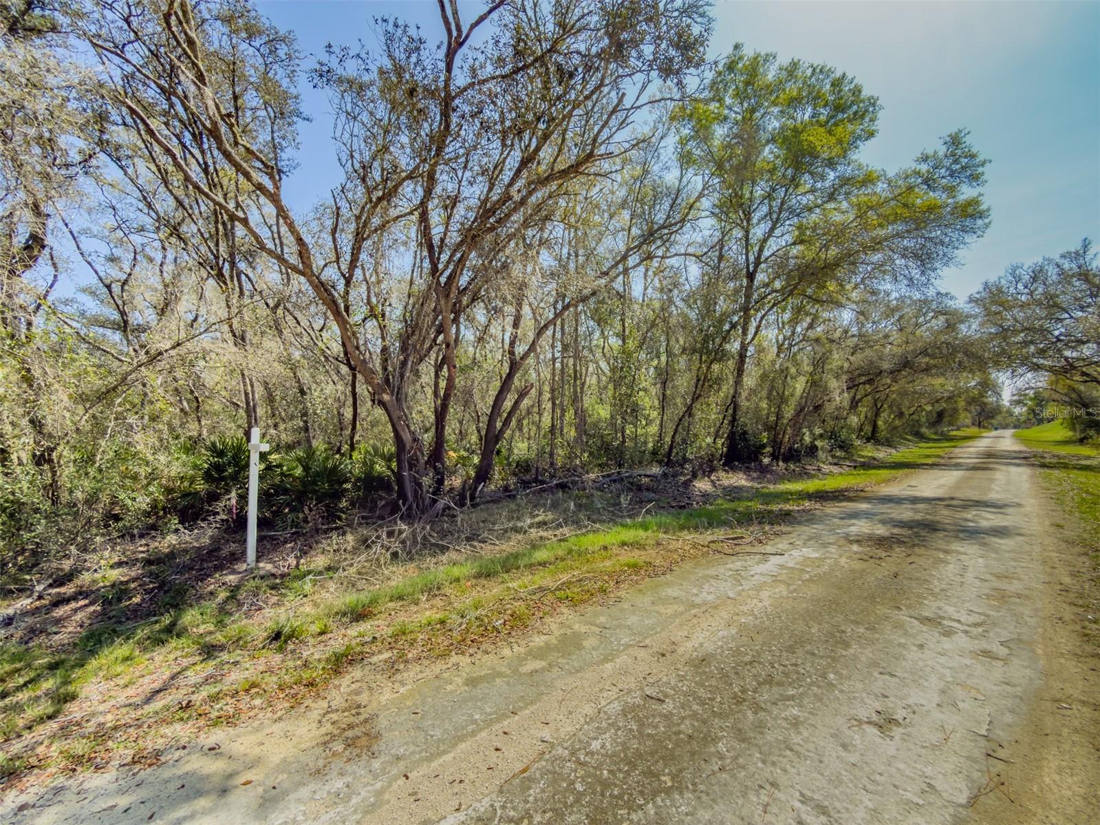 RIDGE MANOR ESTATE - Land