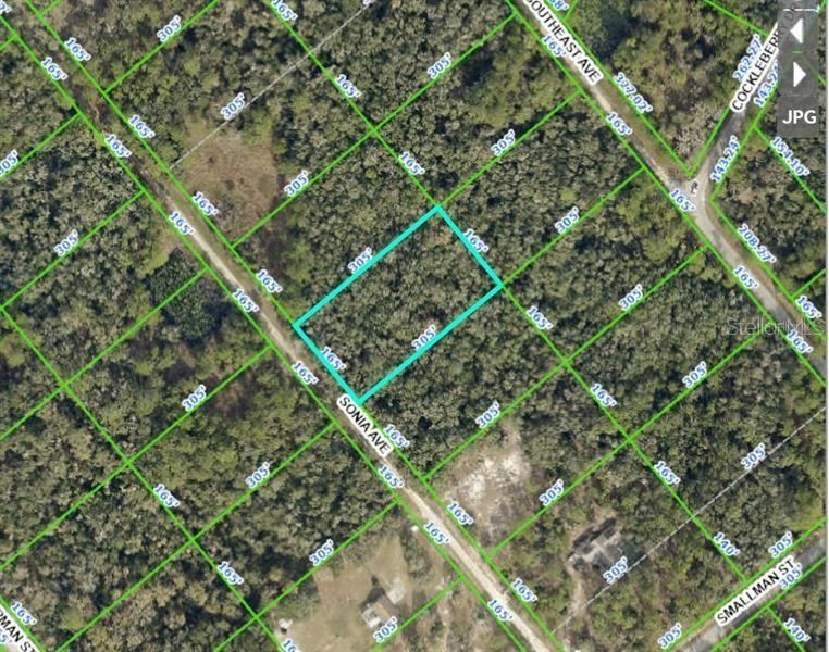 RIDGE MANOR ESTATE - Land