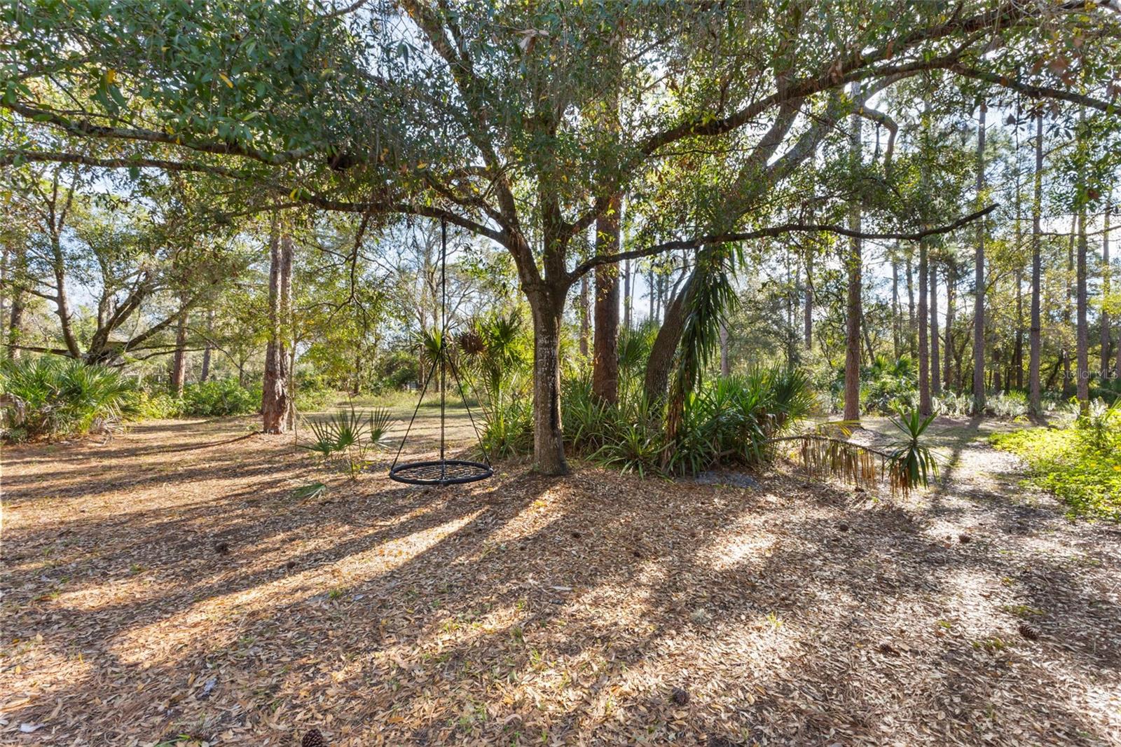 PINE VALLEY RANCHES - Residential